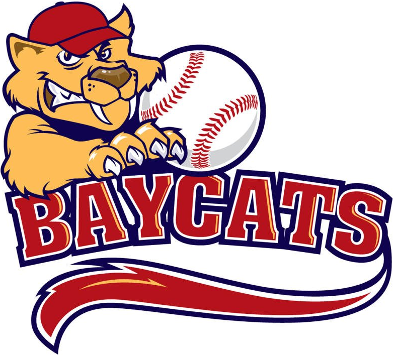 Barrie Baycats iron ons